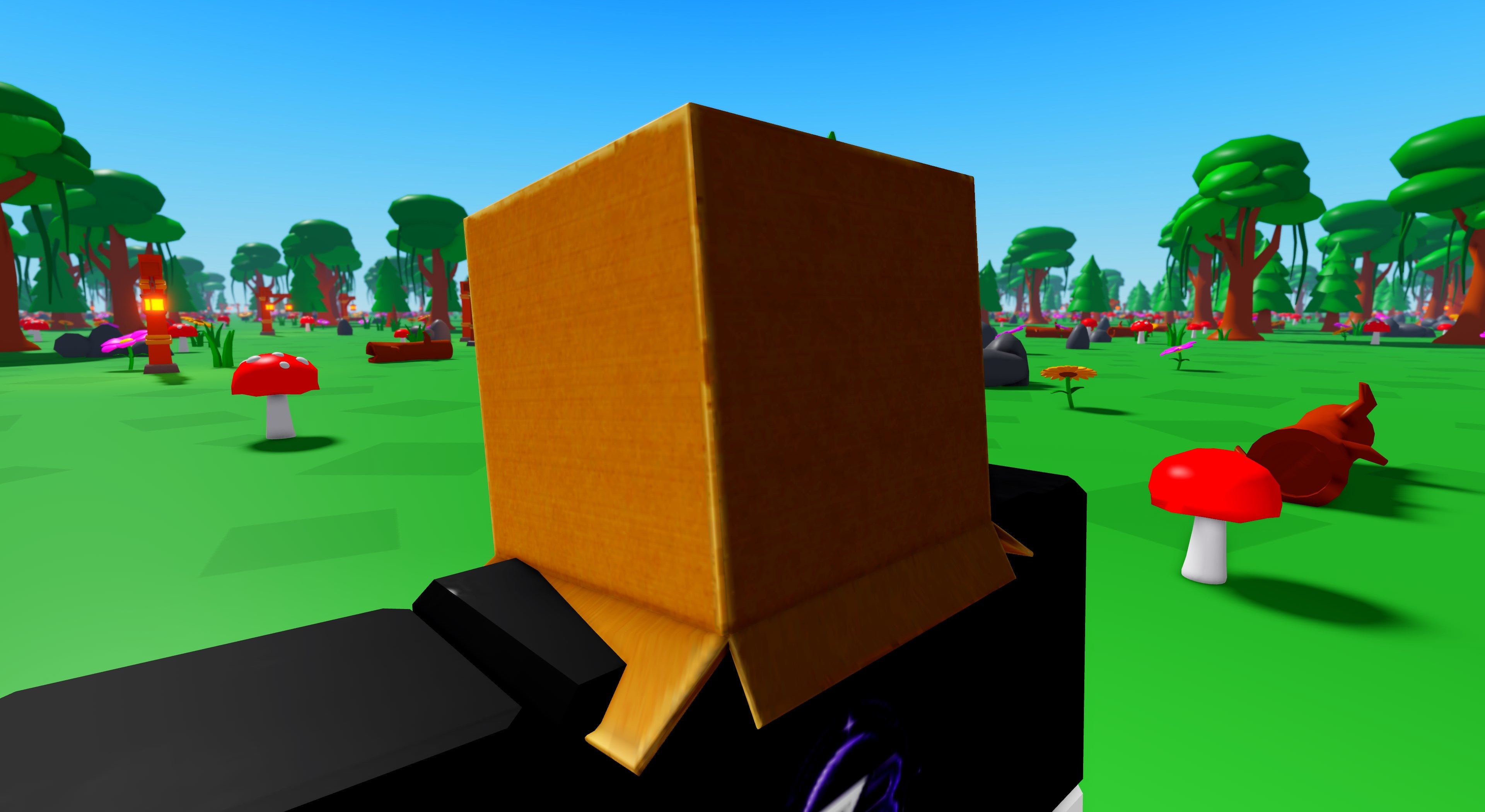 Helm of Carded Boards | Roblox Toy Code