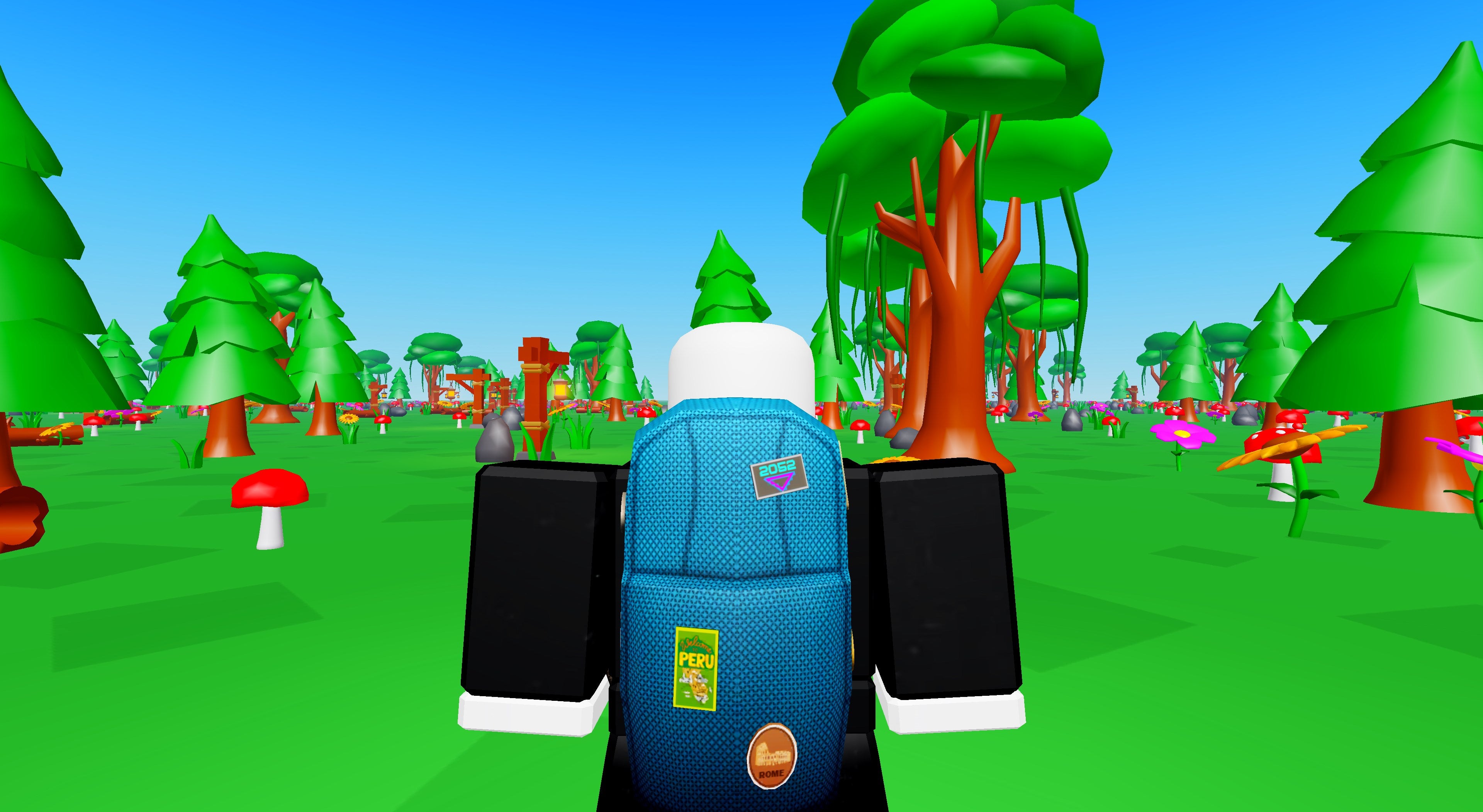 Time Tourist Backpack | Roblox Toy Code