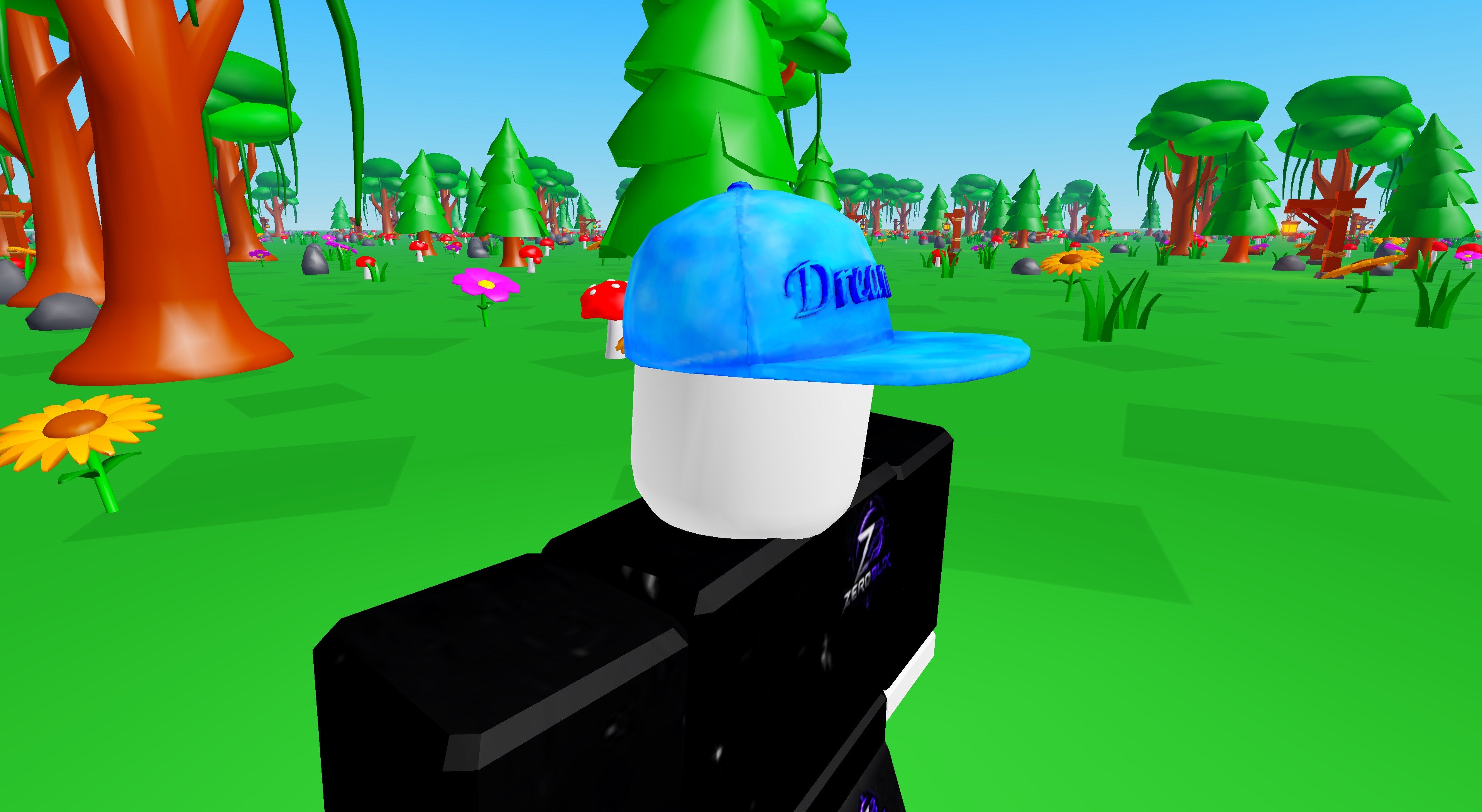 Dreamer Cap | Roblox Toy Code
