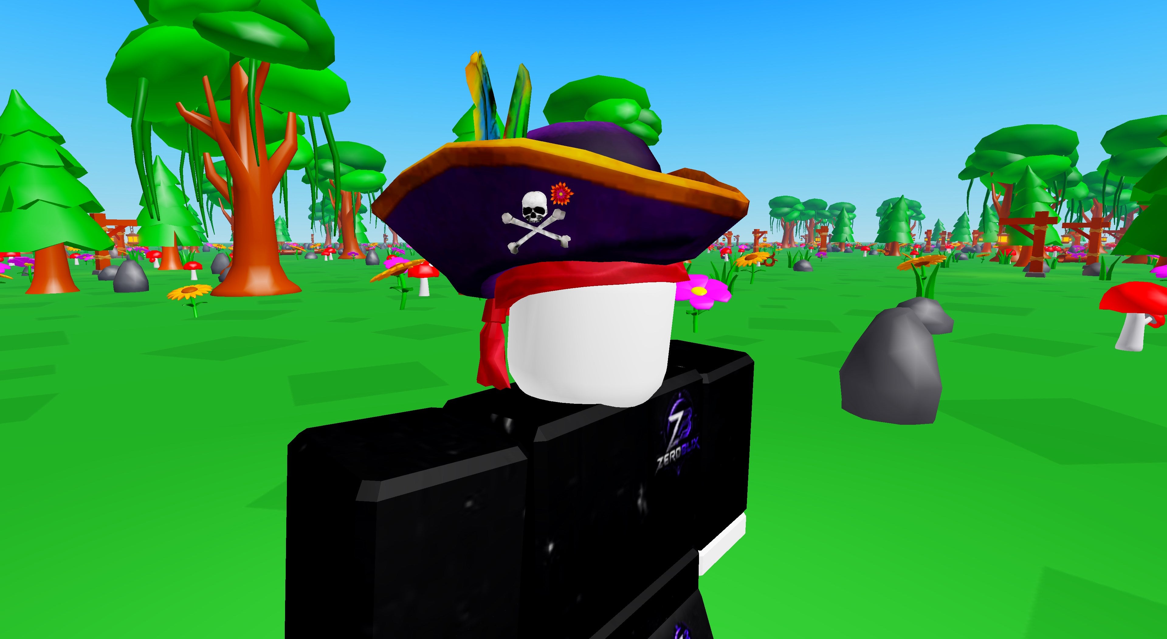 Fabulous Pirate Hat | Roblox Toy Code