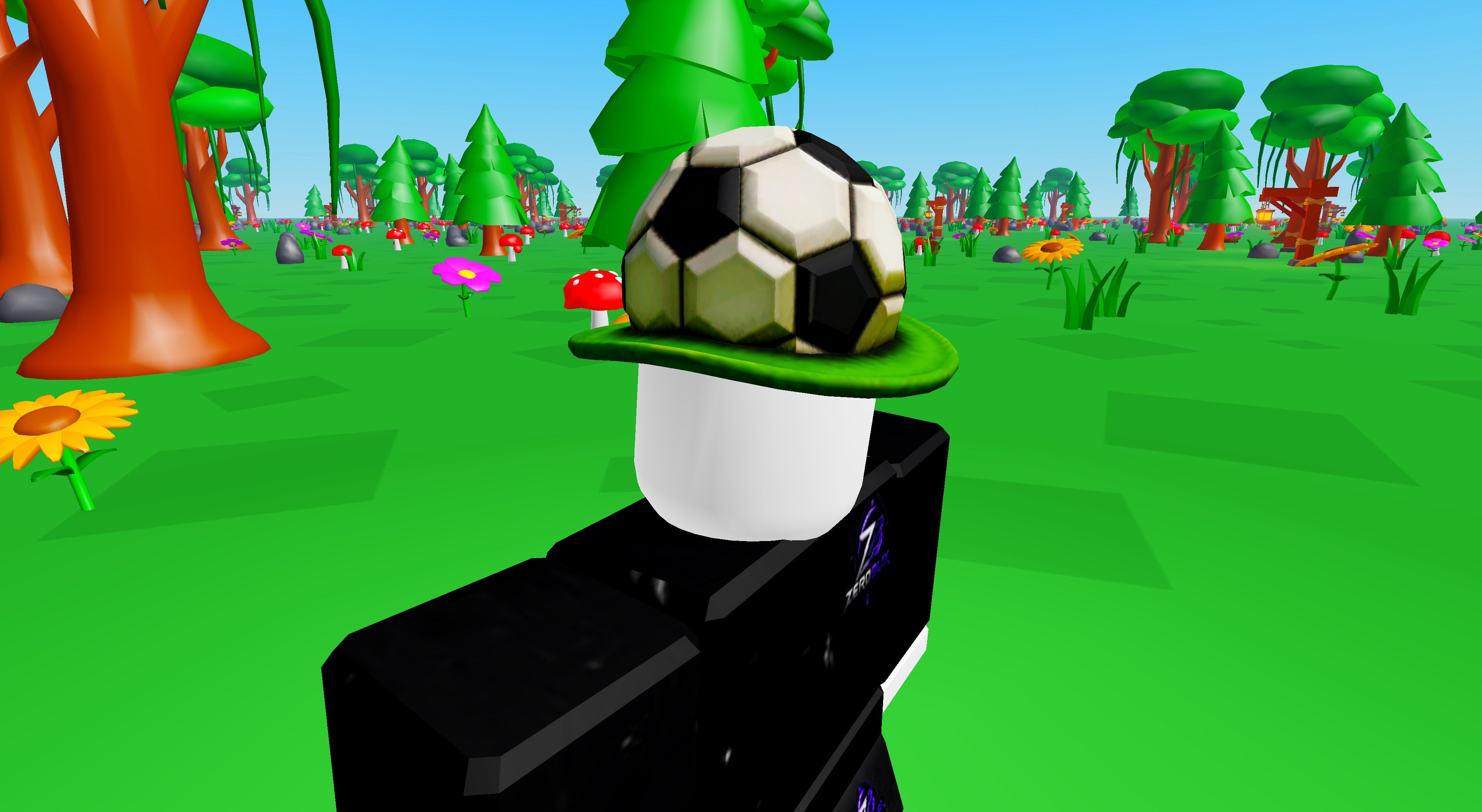 Football Fanatic | Roblox Toy Code