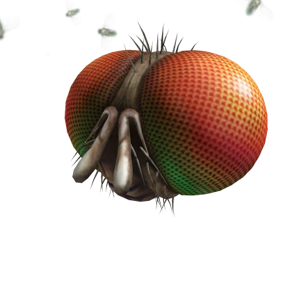 Freaky Fly Face | Roblox Code