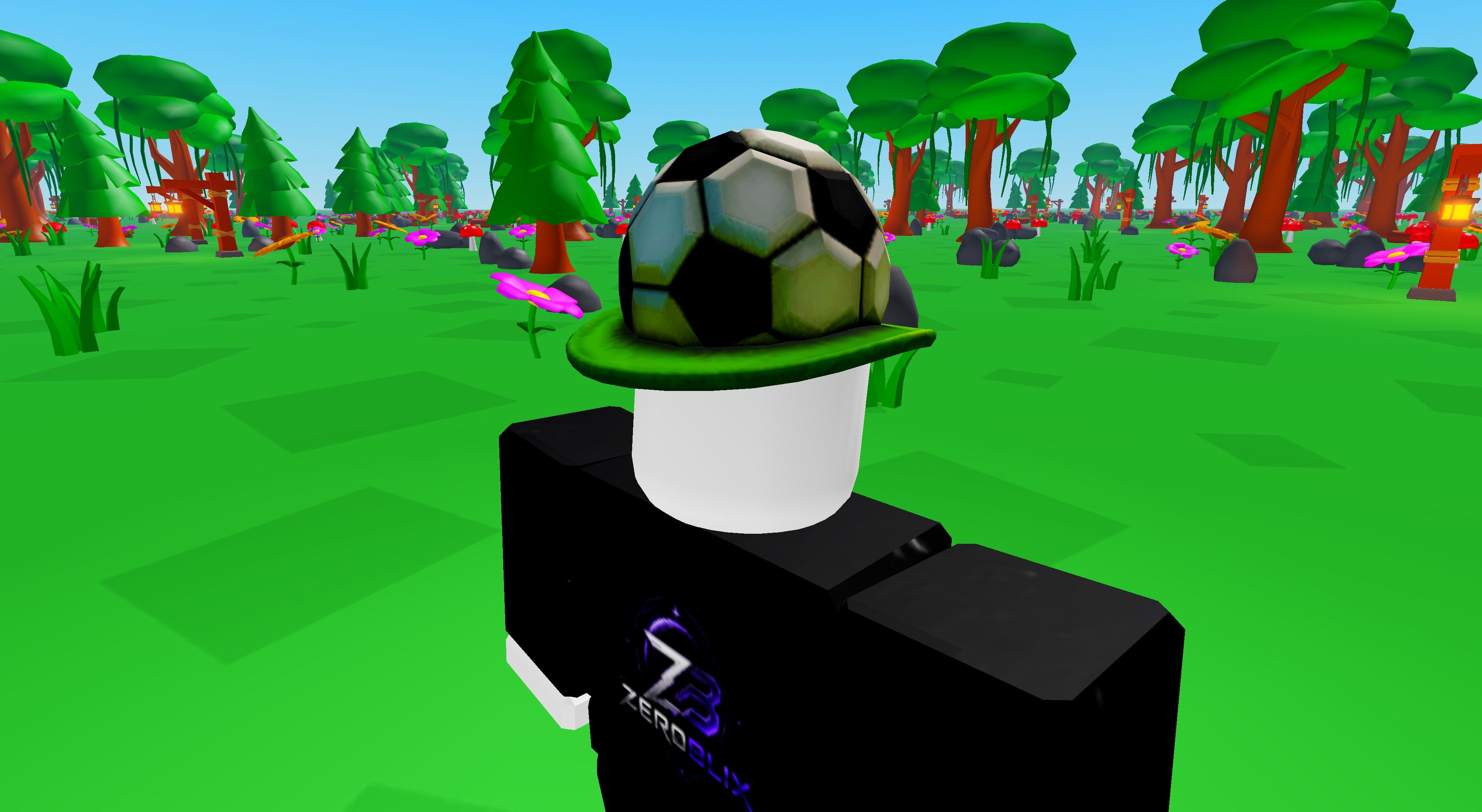 Football Fanatic | Roblox Toy Code
