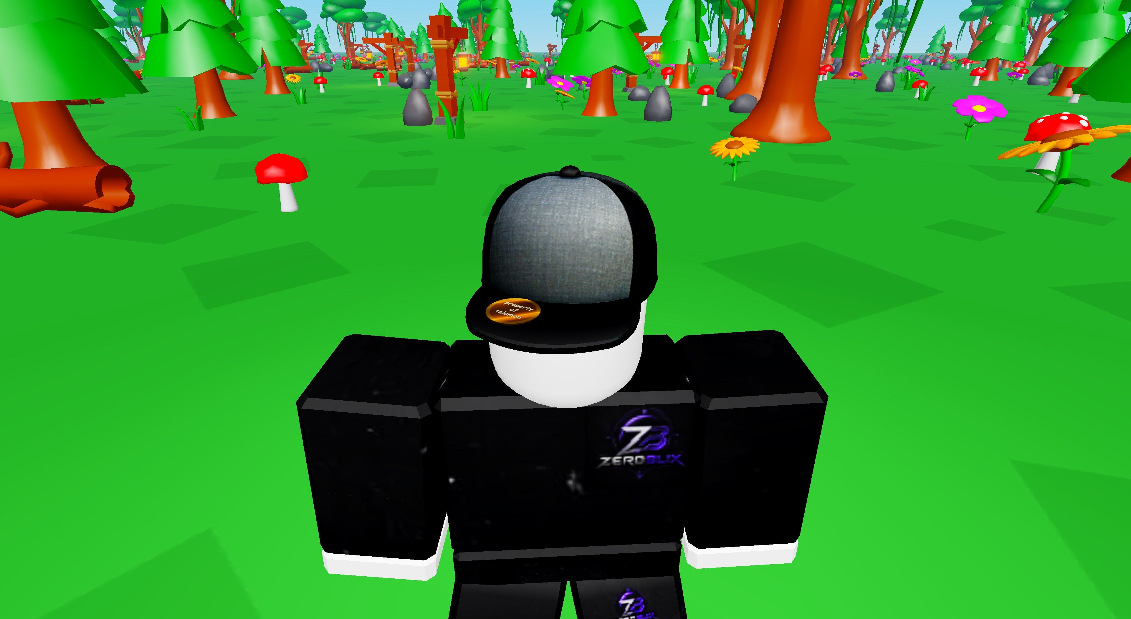 Stolen Grey Baseball Cap | Roblox Toy Code