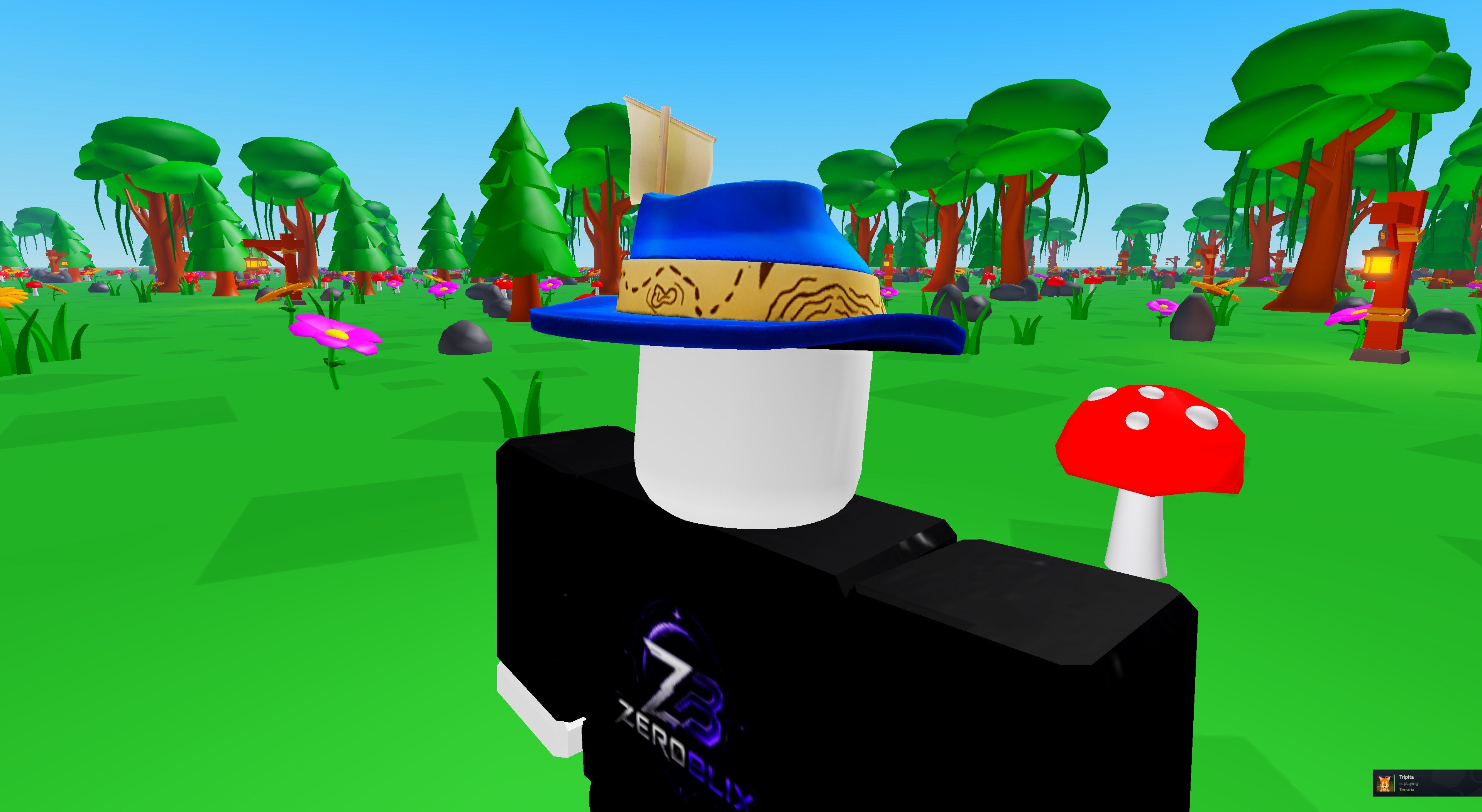 Sinking Ship Fedora | Roblox Toy Code