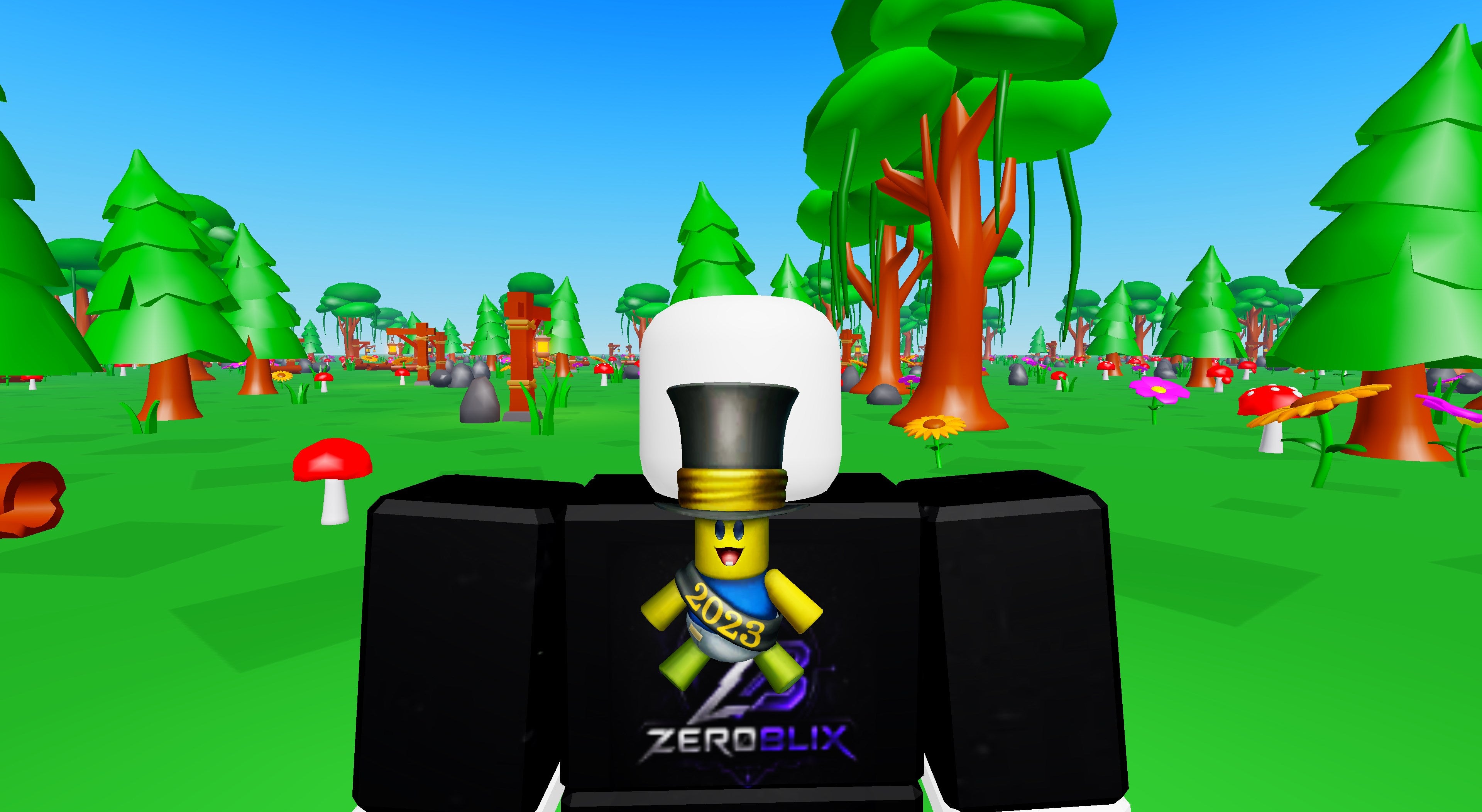 Baby Noob Year 2023 | Roblox Code