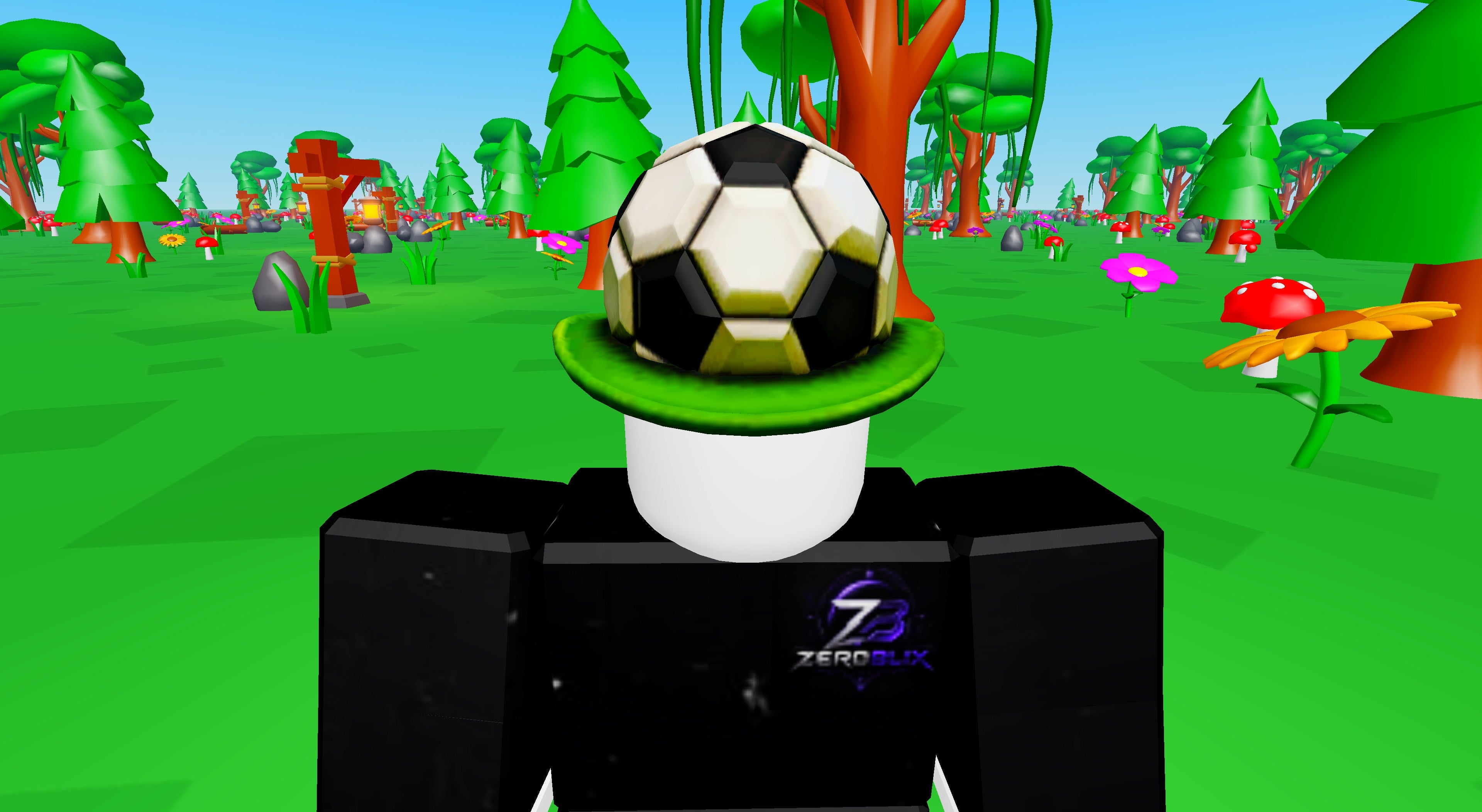 Football Fanatic | Roblox Toy Code