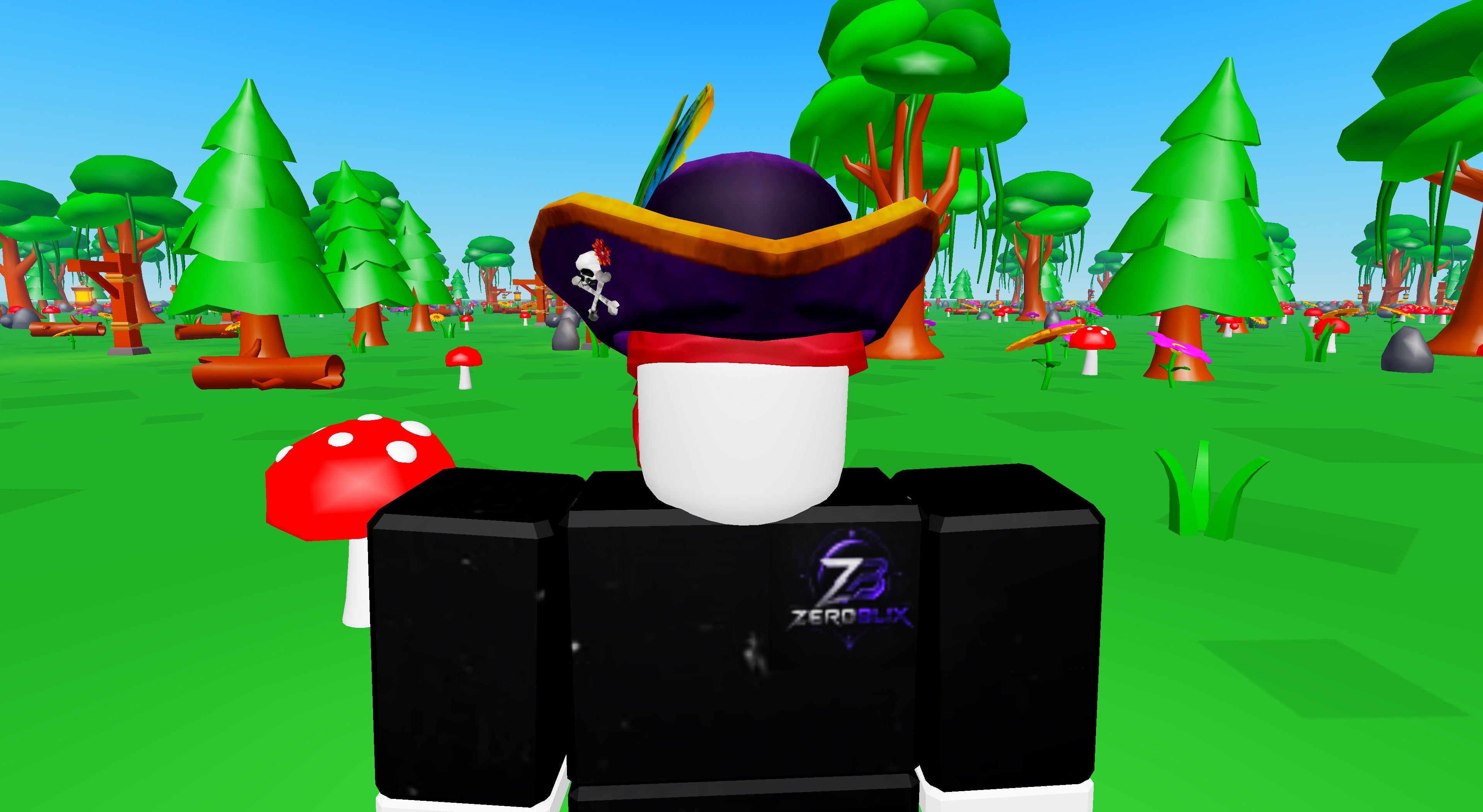 Fabulous Pirate Hat | Roblox Toy Code