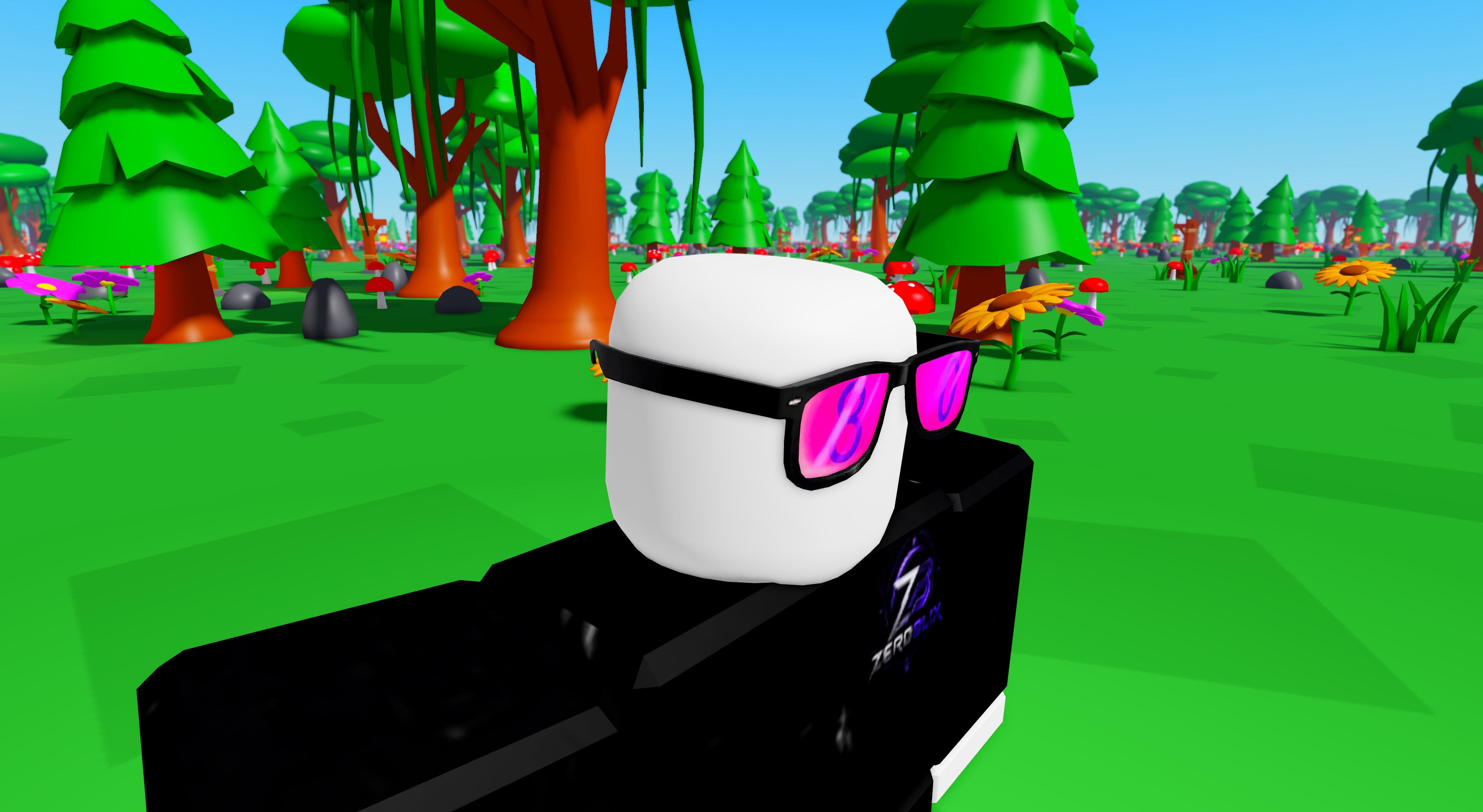 Level 80 Sunnies | Roblox Toy Code