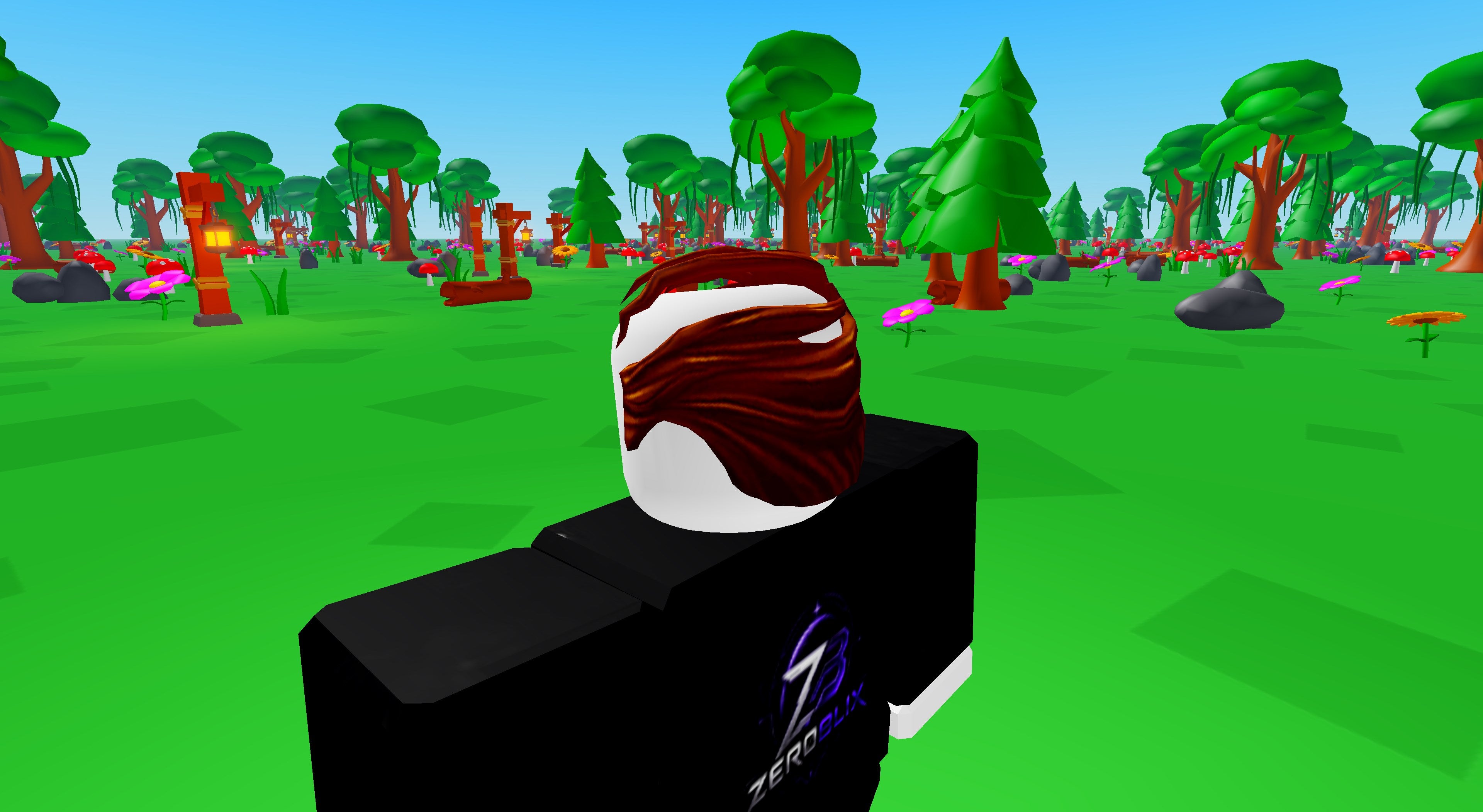 Perfectly Principal Combover | Roblox Toy Code