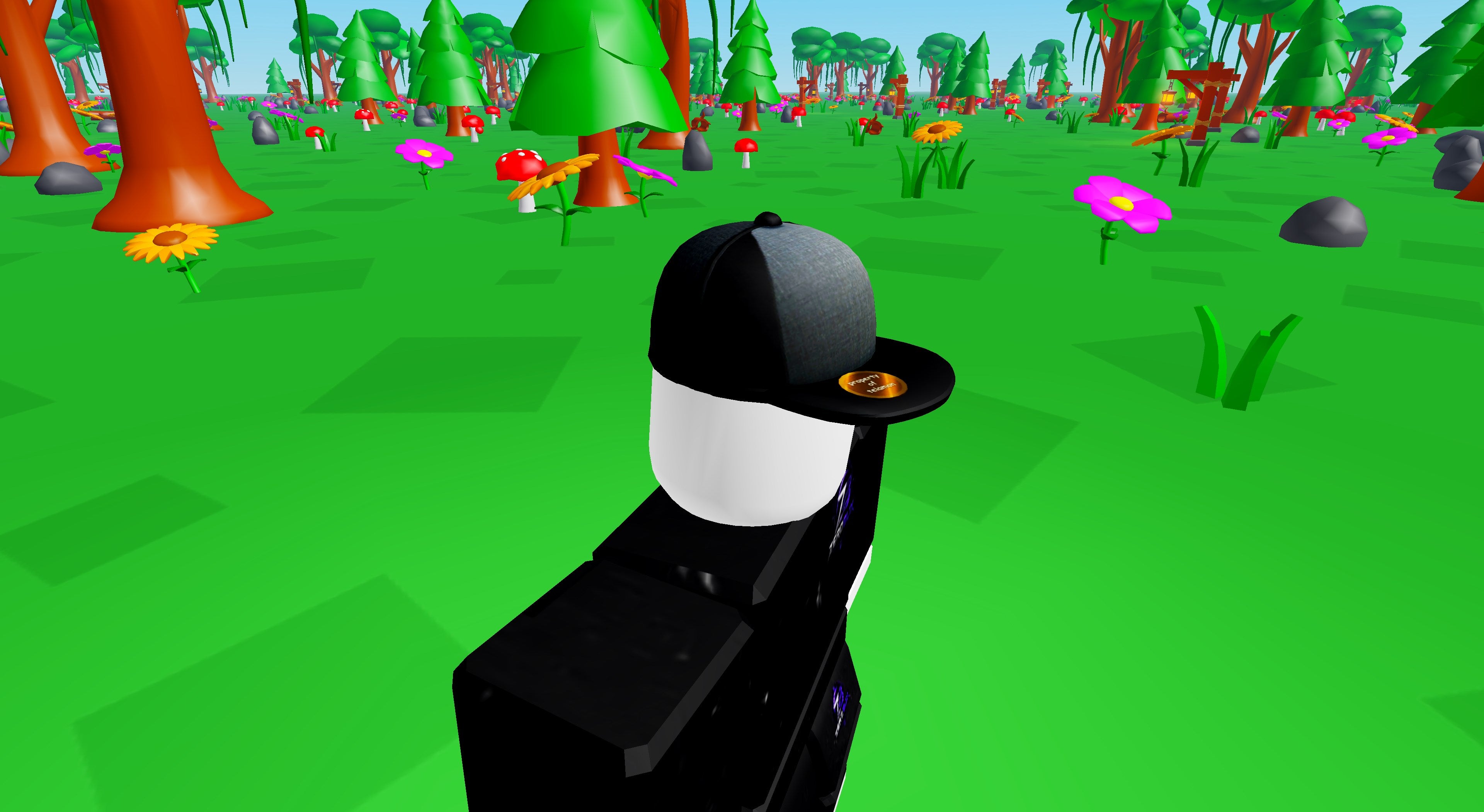 Stolen Grey Baseball Cap | Roblox Toy Code