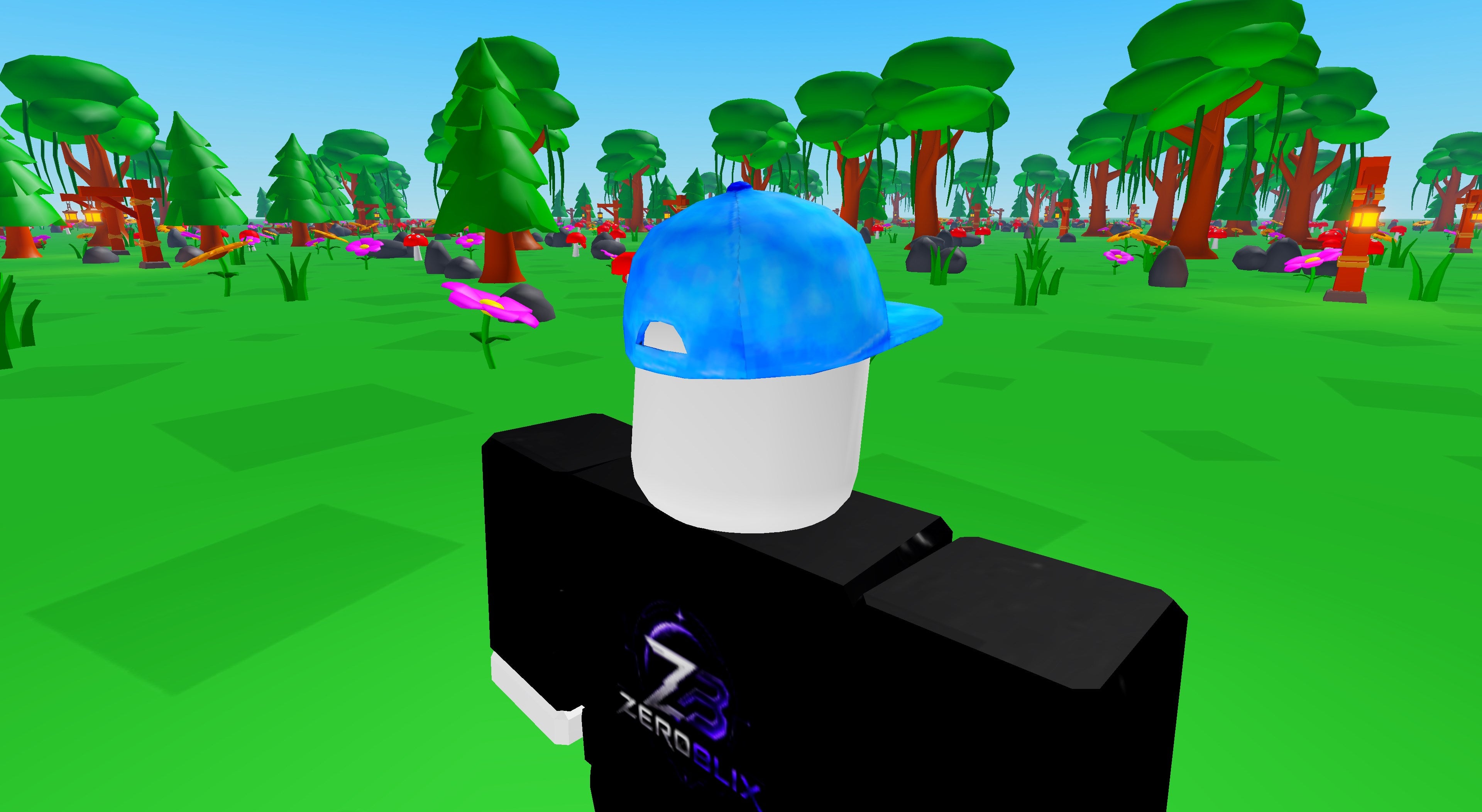 Dreamer Cap | Roblox Toy Code