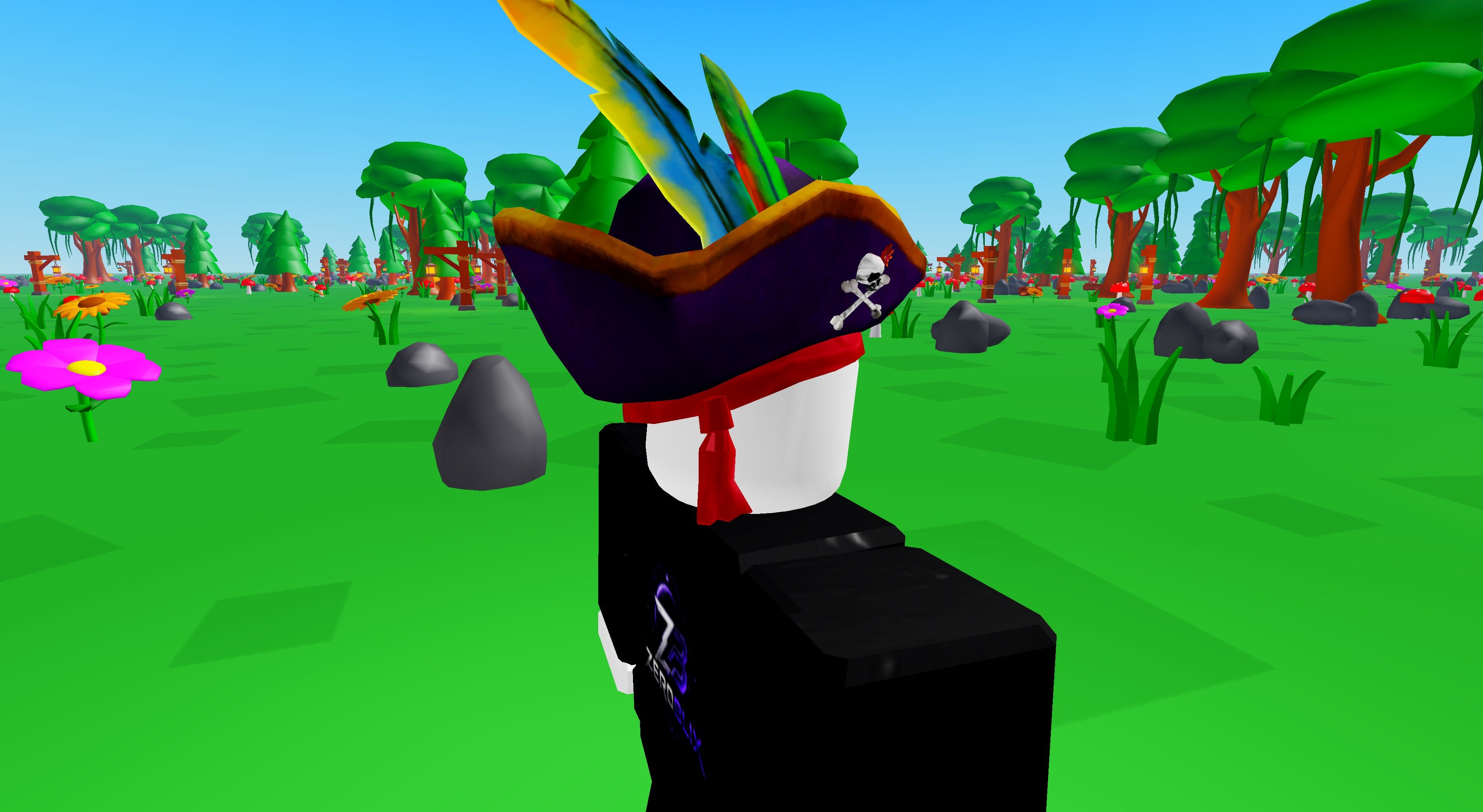 Fabulous Pirate Hat | Roblox Toy Code