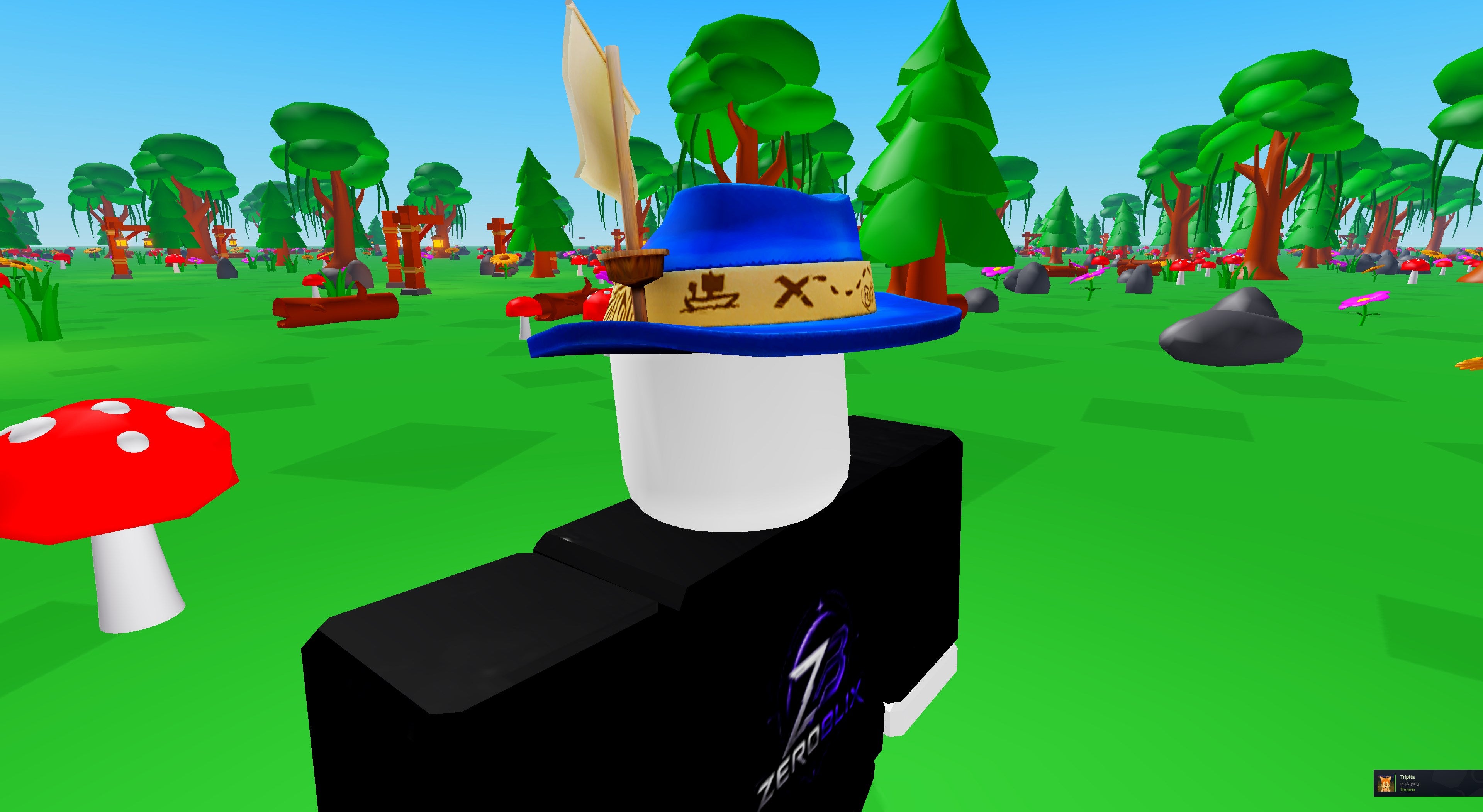 Sinking Ship Fedora | Roblox Toy Code